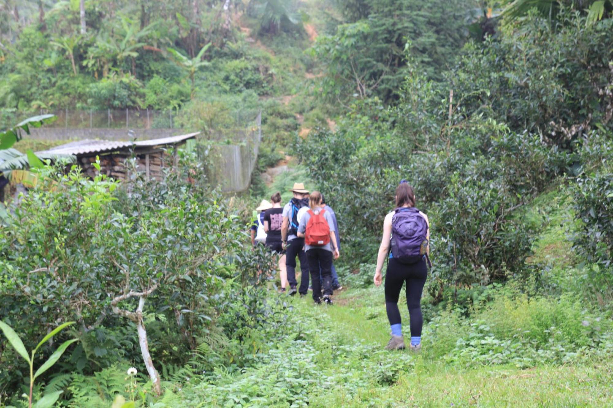 Thavill Retreat Hagiang Ha Giang Exterior foto