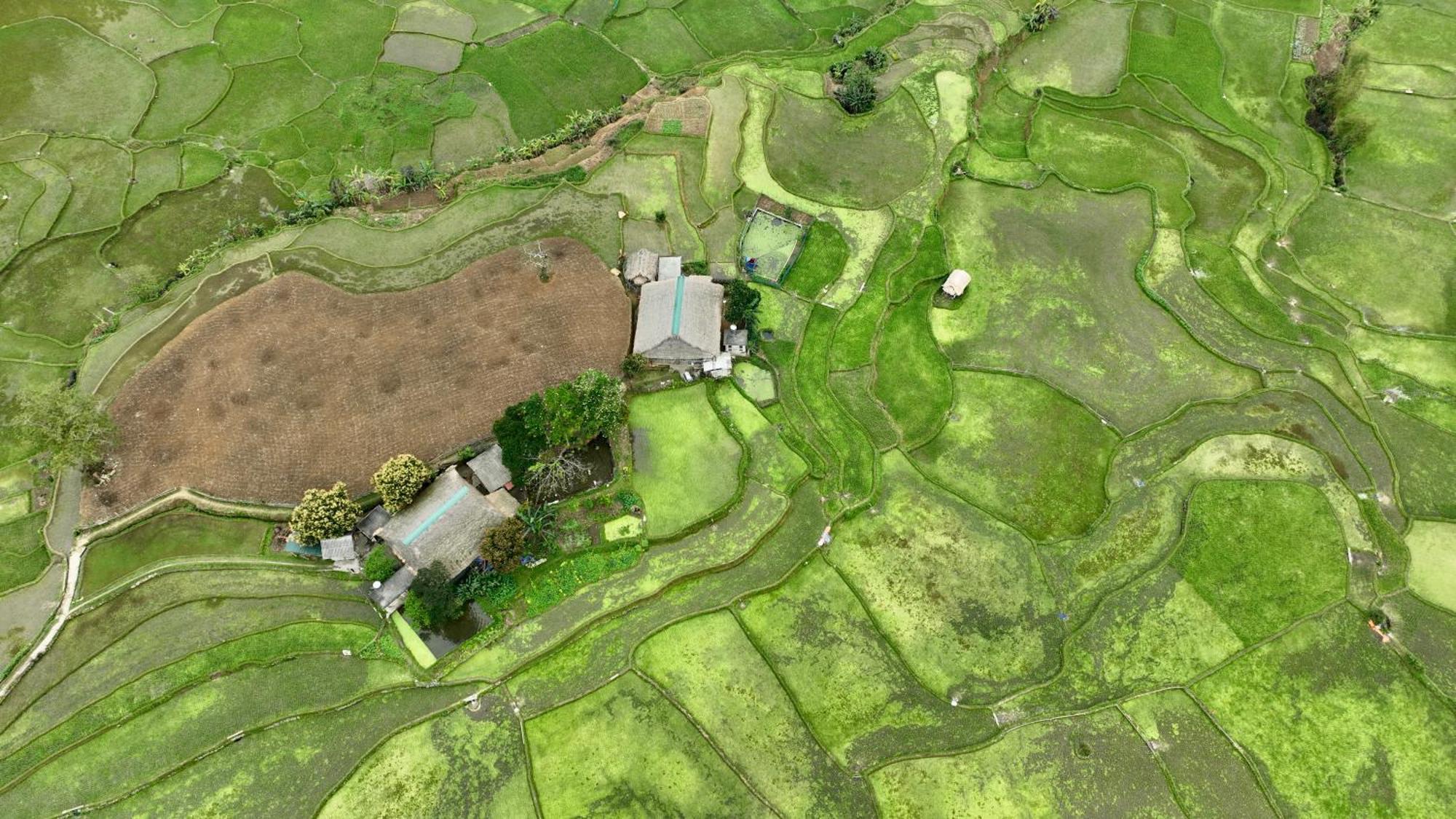 Thavill Retreat Hagiang Ha Giang Exterior foto