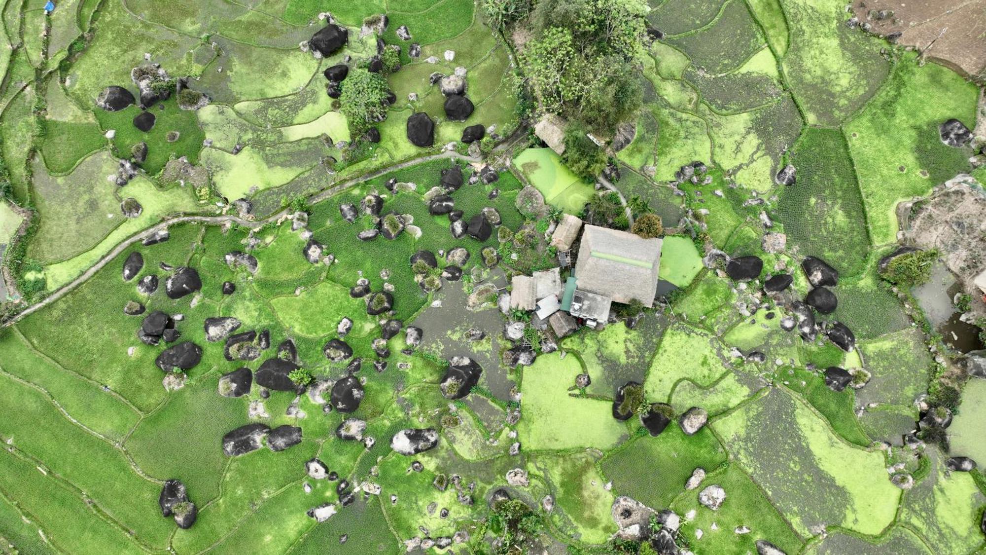 Thavill Retreat Hagiang Ha Giang Exterior foto