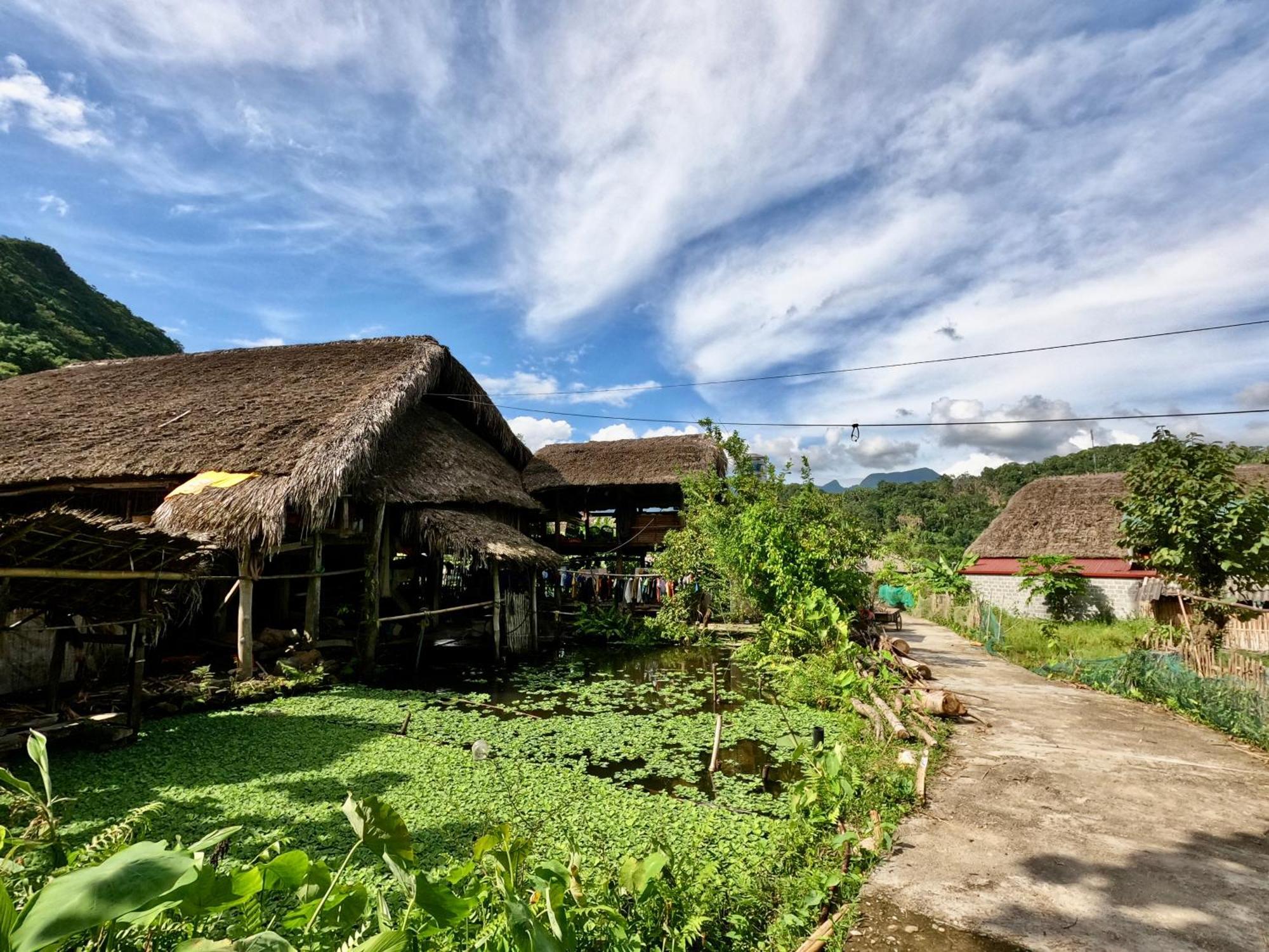 Thavill Retreat Hagiang Ha Giang Exterior foto