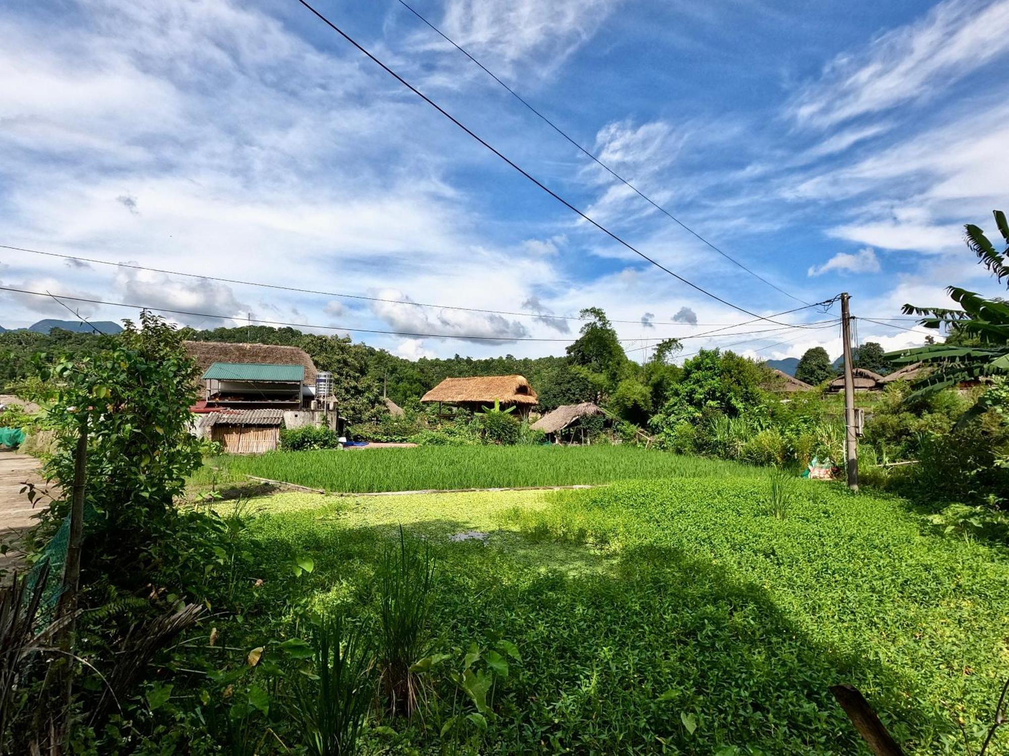 Thavill Retreat Hagiang Ha Giang Exterior foto