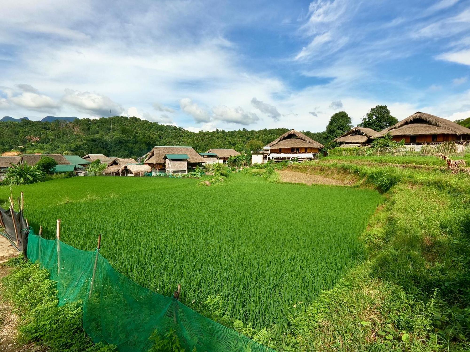 Thavill Retreat Hagiang Ha Giang Exterior foto