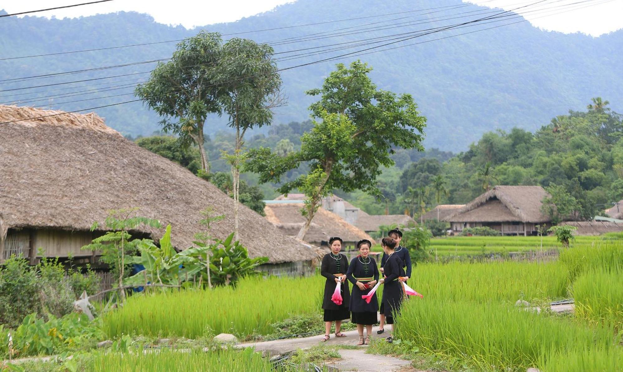Thavill Retreat Hagiang Ha Giang Exterior foto